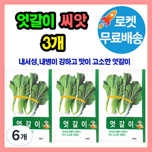 엇갈이 배추 씨앗종자 엇갈이씨, 6개