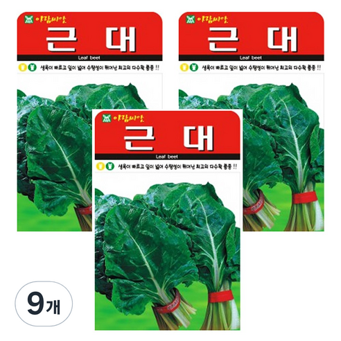 근대 씨앗 종자 근대씨 청근대 씨, 9개