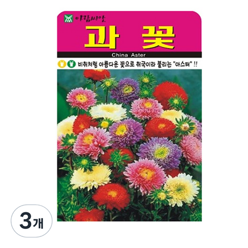 과꽃 씨앗, 3개