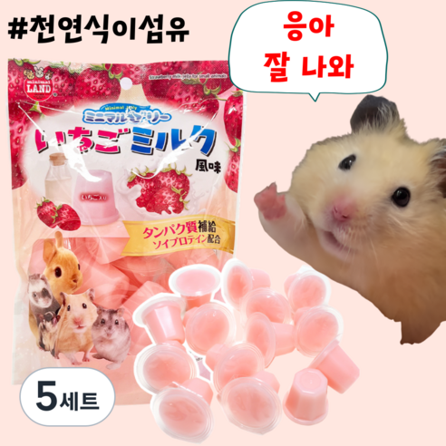 [BEST] 프리미엄 헤어볼예방 천연식이섬유 딸기우유맛 젤리 햄스터 토끼 친칠라 간식, 5세트, 12개 (완품)