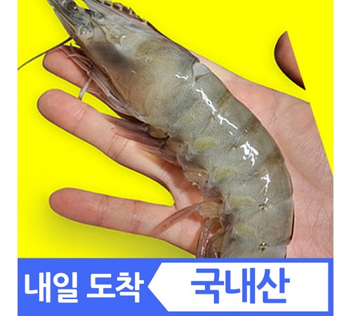 신선함이 살아있는 신안 증도 생새우