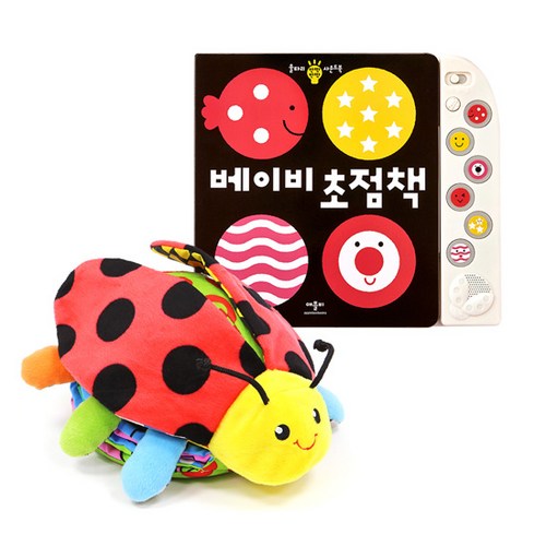 애플비초점책세트