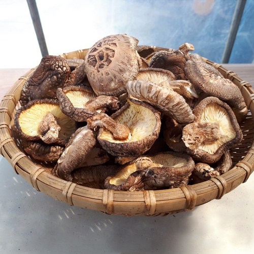 뭉글 건표고버섯, 100g, 1개