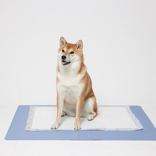 강아지미끄럼방지배변매트