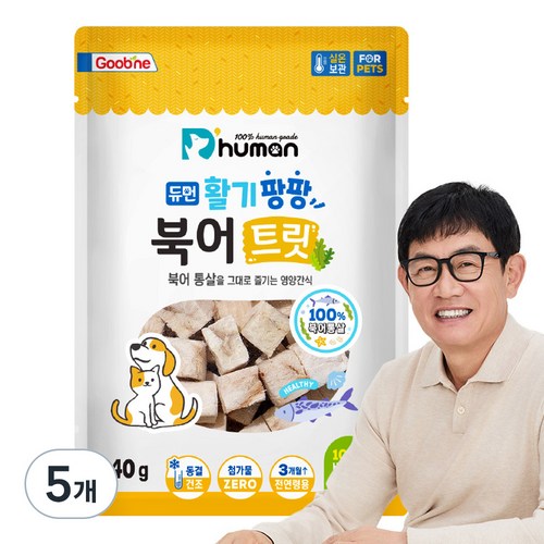 듀먼 반려동물 활기팡팡 트릿, 북어, 40g, 5개