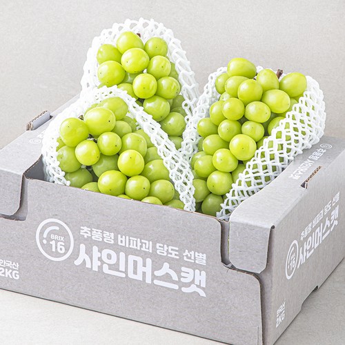 한반도 비파괴 당도선별 샤인머스켓, 2kg, 1개