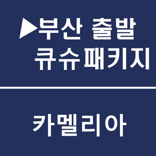 부산출발해외여행