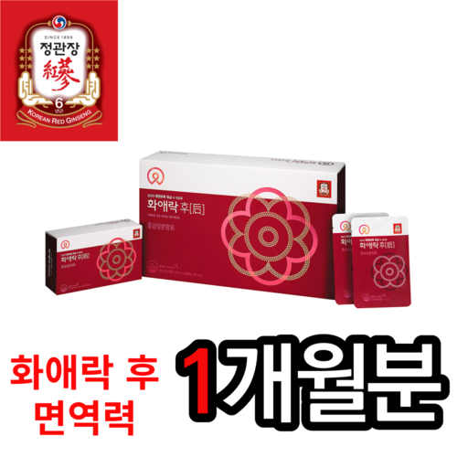 홍삼의효능