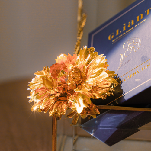 글라이언트 어버이날선물 카네이션 브로치 금꽃, 01. 기본 패키지 (58%), 금색, 1개
