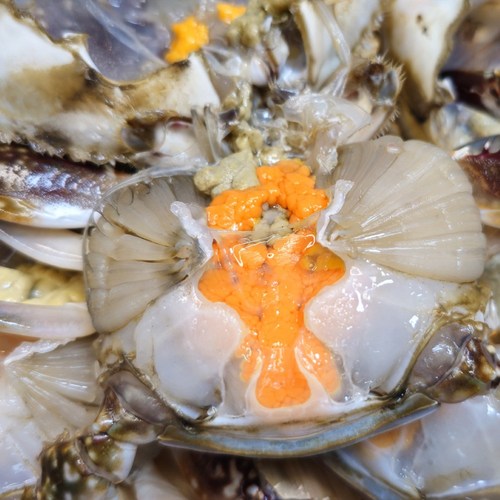 안면도 제철 자연산 알수율 90% 알배기 활 암꽃게1kg/꽃게탕 꽃게찜 간장게장 양념게장, 자연산 암꽃게1kg-대(2~3마리), 1개