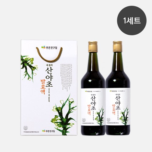푸른친구들 내 몸의 산야초 발효액 (700ml ) 유기농 청정 자연원료, 2개, 700ml