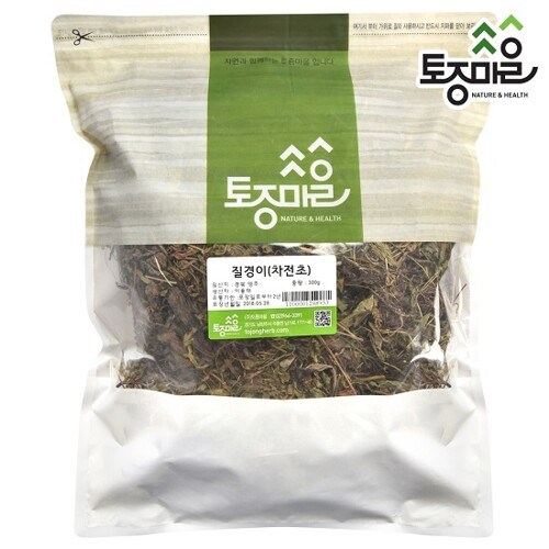 질경이건초