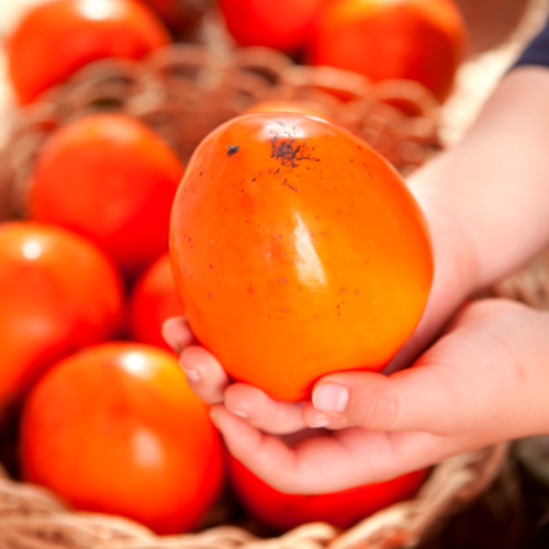 [왕특대] 햇 대봉감 5kg 10kg 15kg 대봉 홍시 특 대과 대봉시 산지직송, 1-0) 5kg 중소과 [21-25과], 1박스