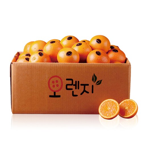 고당도 네이블 오렌지, 1set, 150g(중소과), 23과