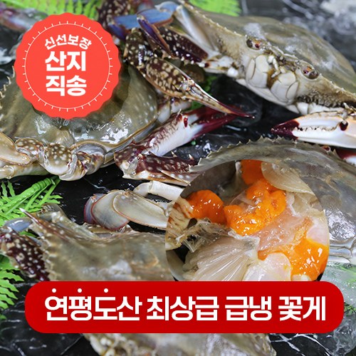 연평도 제철 최상급 급냉 냉동 꽃게, 5.연평도 급냉 숫꽃게 특대 1kg(2~3미), 1개