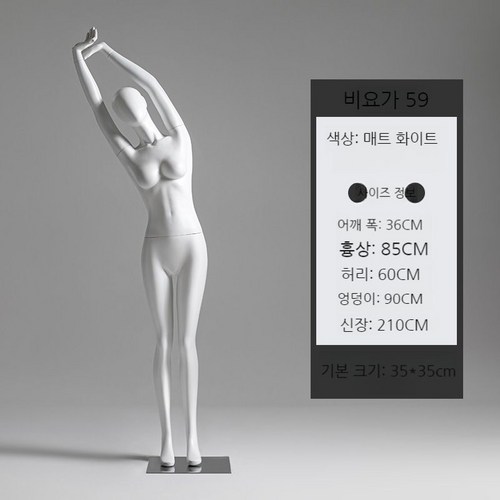 필라테스마네킹