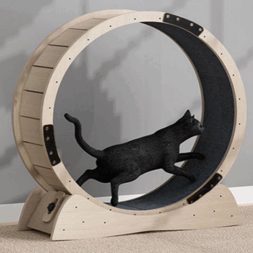 저소음 가성비 캣휠 고양이 운동 기구 런닝머신 롤링 장난감, 자체조립 내부100cm