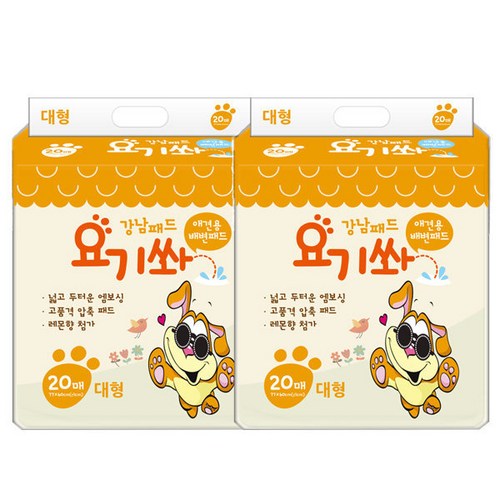 요기쏴