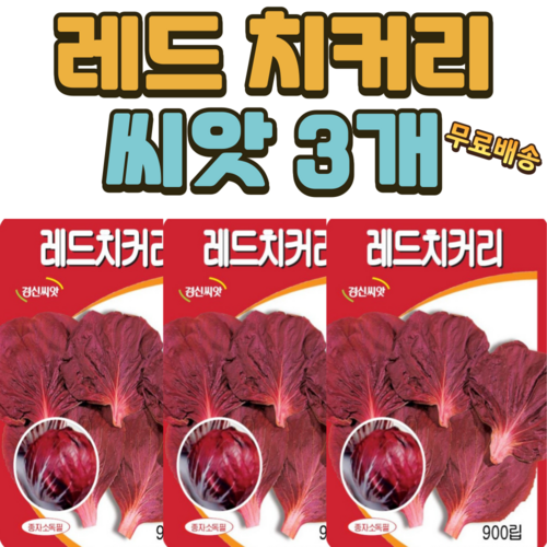 레드 치커리씨앗 3개 쌈채소씨앗 적 치커리 채소 키우기 씨앗 종자, 1세트