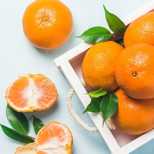 꿀라봉 컴퍼니 귤 제주감귤 조생귤 노지감귤 3kg 5kg 10kg, 1박스, 5kg 로얄과 (s-m)