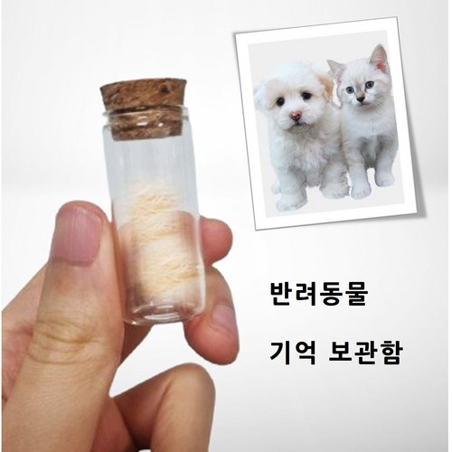 강아지유골함