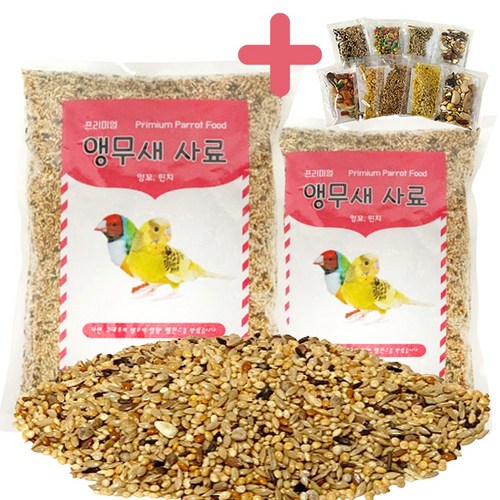 핑퐁새모이