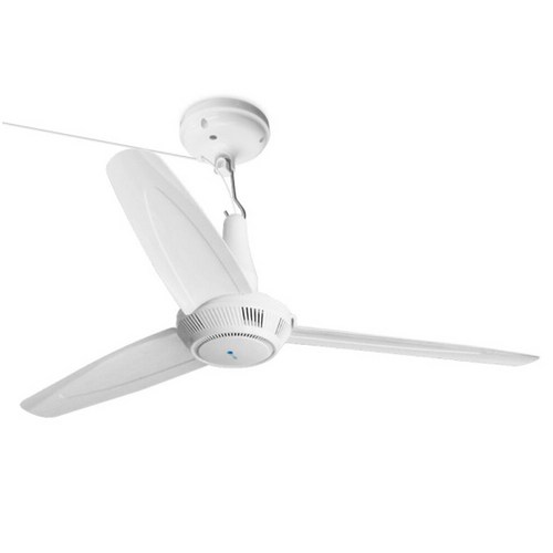 s-fan