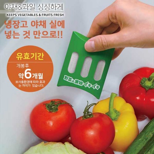 오이스터체인징백