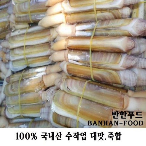 맛조개