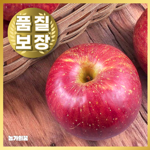 [맘카페추천] 천상의맛 초고당도 꿀사과 감홍사과, 1박스, 2kg (로얄과)