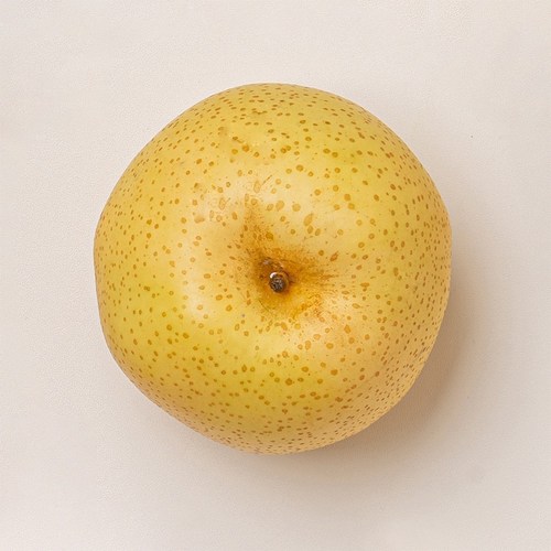 자연진리 맛있는 황금배 3kg 랜덤과