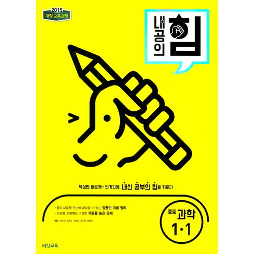 내공의힘