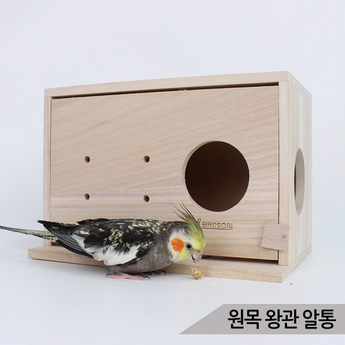 알통