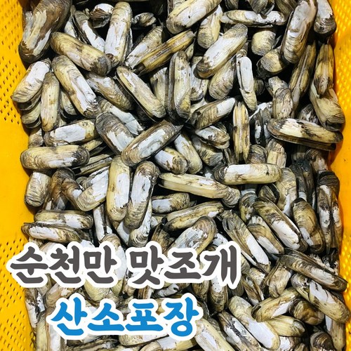 키조개