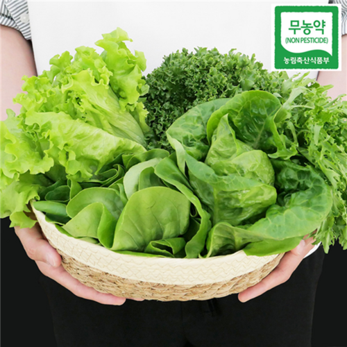 무농약 산지직송 유러피안 샐러드 유럽 샐러드 쌈채소, 1box, 샐러드 3~4종 모음 1kg - 채소 배달 추천