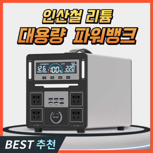 신안테크 대용량 파워뱅크 인산철 리튬 배터리 캠핑용 휴대용 밧데리 보조배터리 220V, D. 1500W 2.5kWh