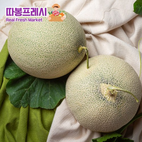 따봉프레시 3차선별 고당도 메론 머스크 파파야 양구 설향 백자 허니듀 하미과, 1개, 1.6kg