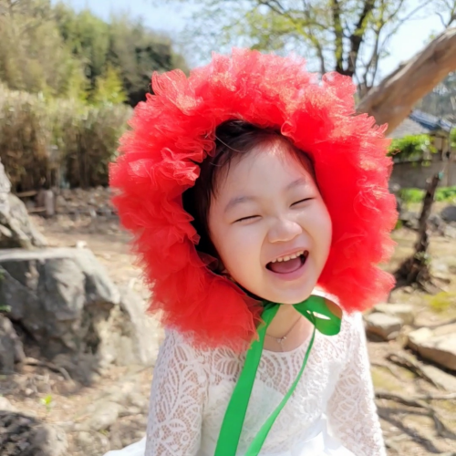 아기카네이션 추천 7