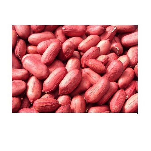 자색땅콩씨앗 600g/적피 땅콩 종자, 1개