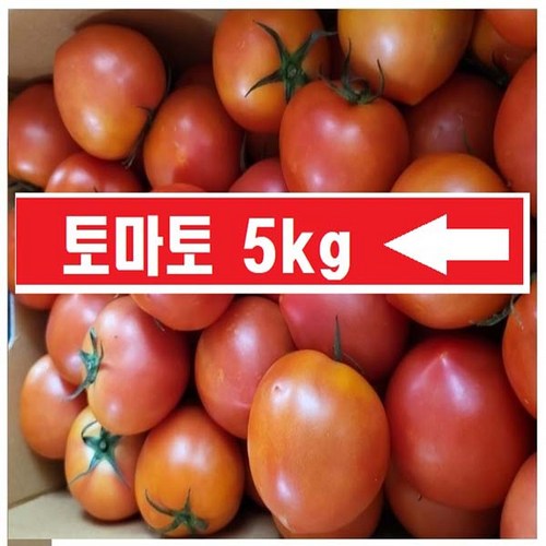 토마토 (주스용 아님 정품)당-일-출고)국내산 오키로, 1박스, 5kg