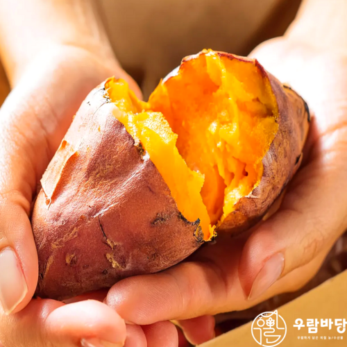 [재구매1위] 고품질 세척 해남 햇 호박고구마, 1박스, 5kg(특상)