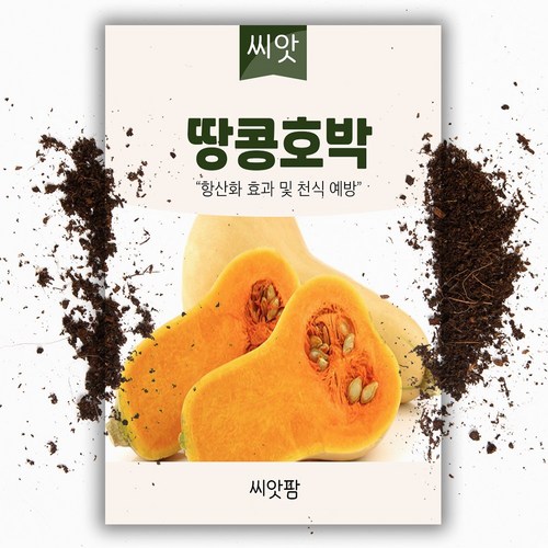 땅콩호박