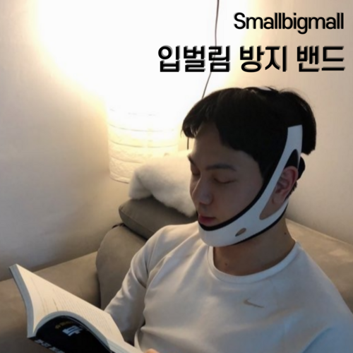 스몰빅몰