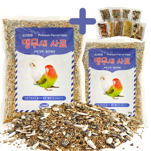 핑퐁새모이
