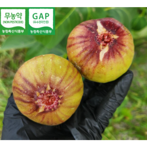 GAP우수농산물 무농약 무화과, 1개, 1kg