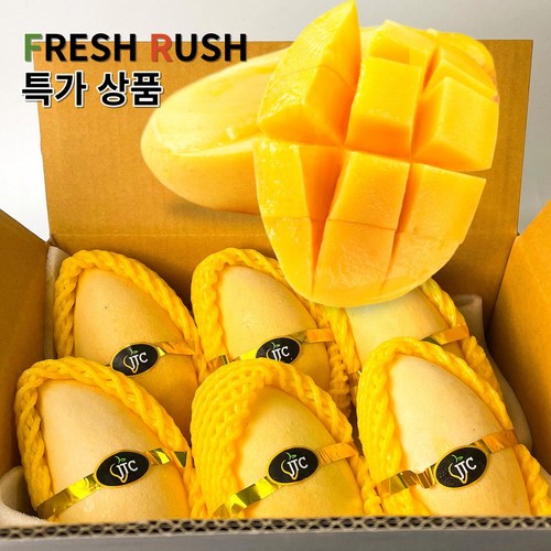 망고밥트리플엑스