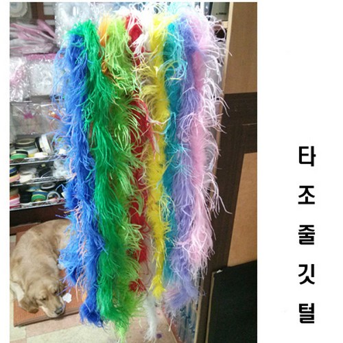 타조잉크