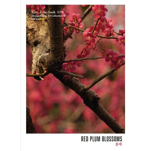 홍매 RED PLUM BLOSSOMS