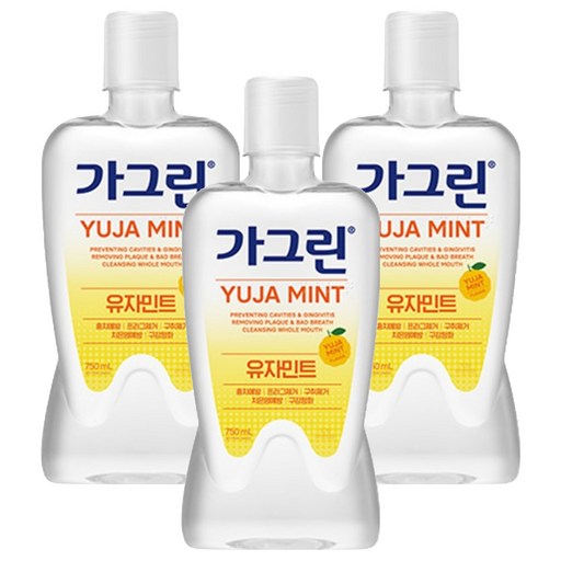 가그린 구강세정제 유자민트향