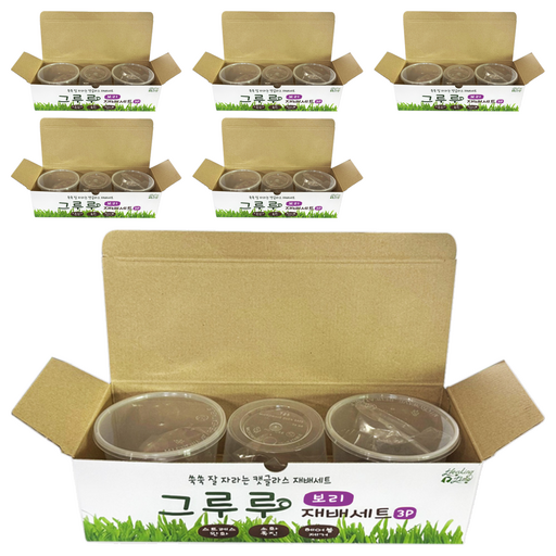 힐링타임 그루루 캣그라스 재배세트 3p